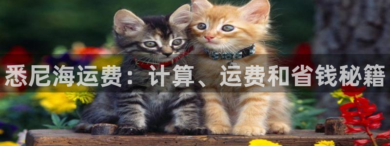 公海赌钱算合法收益吗