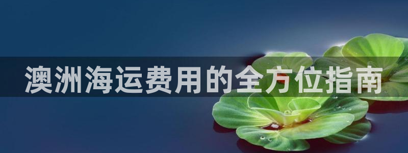 欢迎来到公海电脑版