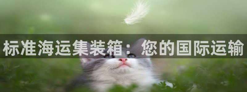 公海赌赌船官网jc710 下载