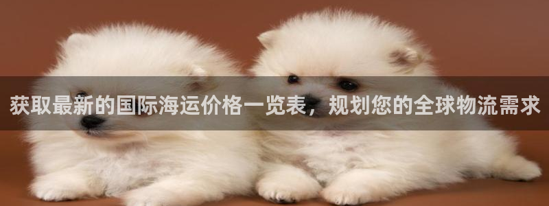 欢迎来到公海电脑版