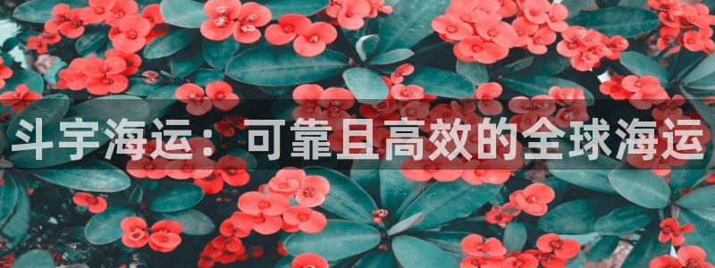 公海赌钱