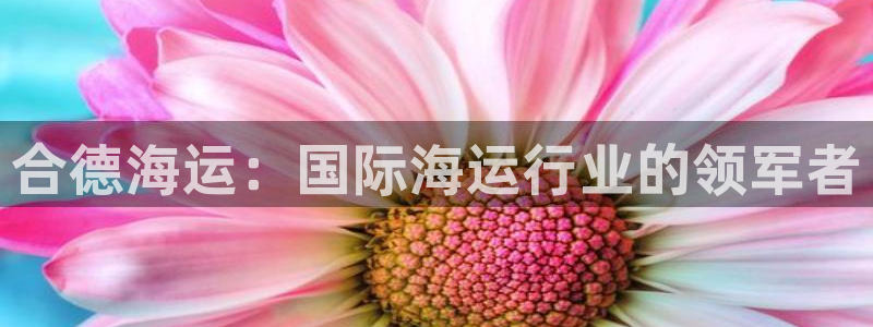 去公海赌博合法吗