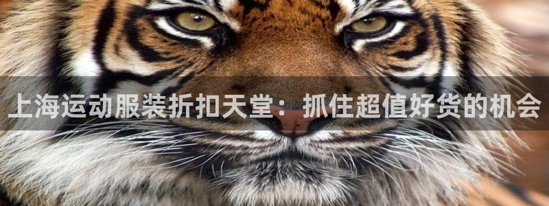 公海赌船赌博