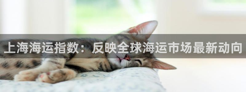 公海赌赌船手机下载