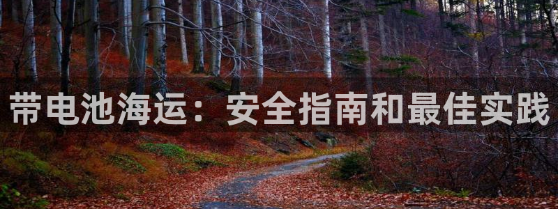 公海赌船赌博