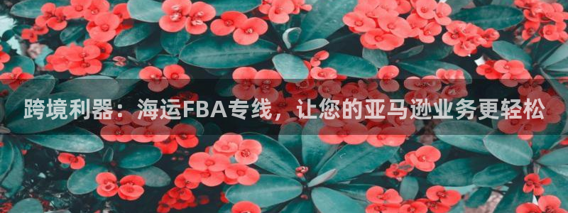 公海赌赌船官网jc710