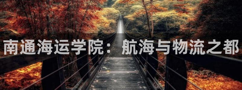 欢迎上船