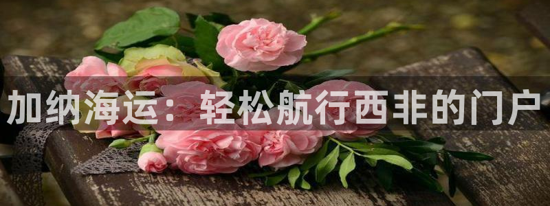 公海赌赌船贵宾会员检测路线