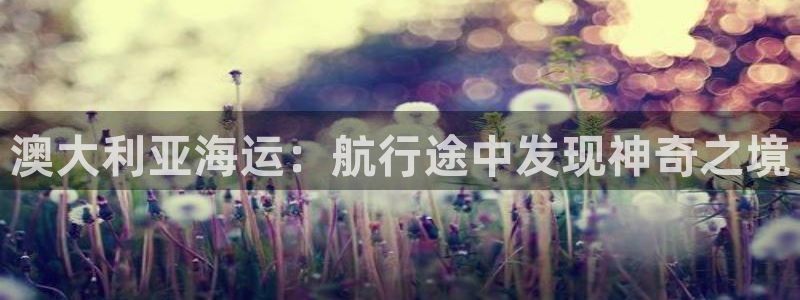 公海赌赌船手机下载
