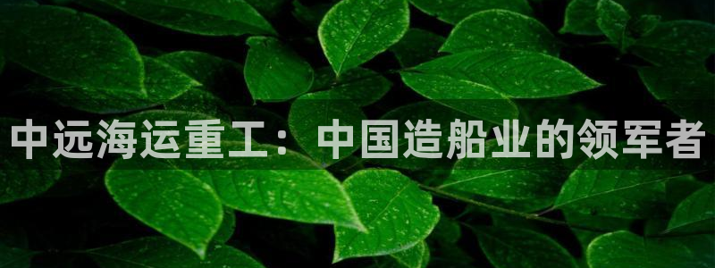 欢迎来到公海堵船