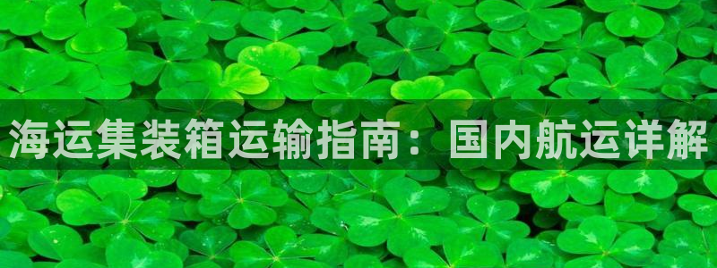 欢迎来到公海电脑版