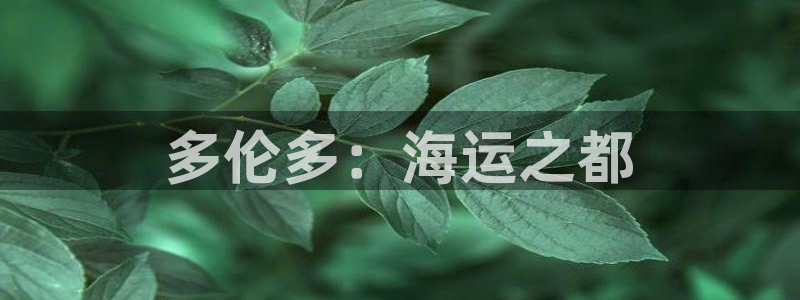 欢迎来公海欢迎来赌船欢迎