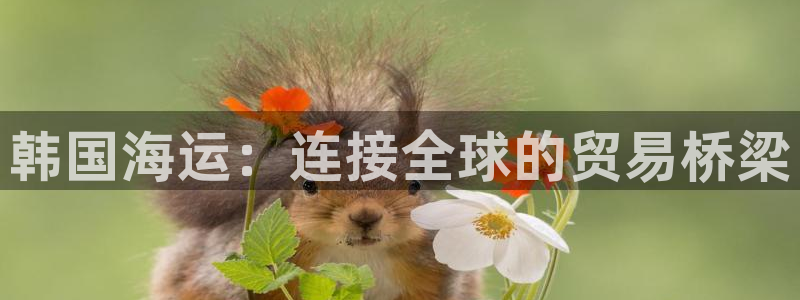 欢迎你来到 公主的海岛