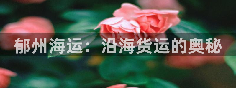 公海赌赌船官网介绍人