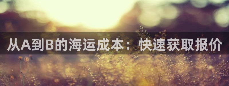 公海赌赌船快速充值