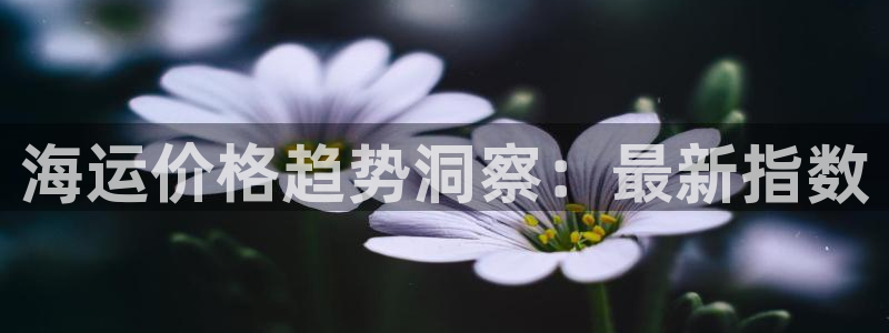 欢迎您来到公海