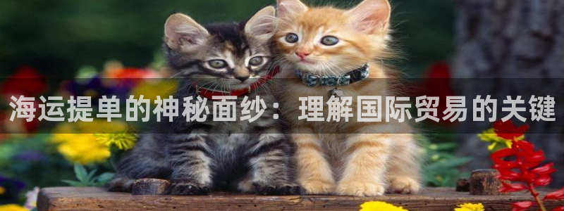 欢迎来到公海710官网