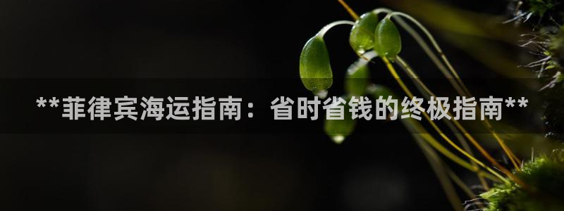 欢迎你来到公海欢迎你来到赌船